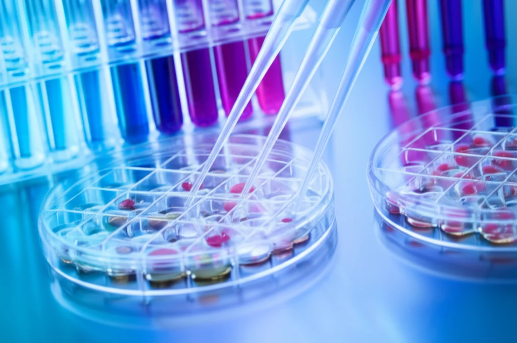 Fotografia still life di laboratorio, obiettivo macro 80mm, alta definizione. Mostra piastre multiwell con cellule in coltura trattate con farmaci e inibitori, pipette e provette sullo sfondo. Illuminazione controllata e focus preciso su una piastra.