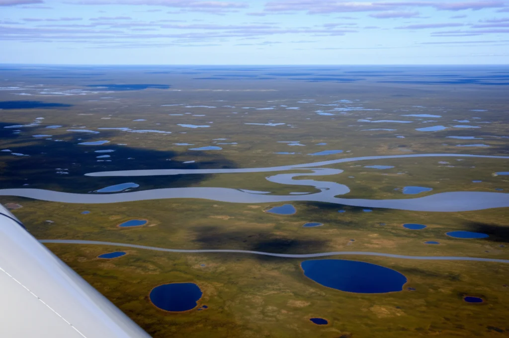Fotografia aerea grandangolare di un vasto paesaggio artico in Alaska, scattata durante un volo ABoVE. Si vedono chiaramente la tundra con chiazze di vegetazione bassa, numerosi laghi di varie dimensioni (alcuni termocarsici) e un fiume serpeggiante. Obiettivo 18mm, messa a fuoco nitida, luce solare limpida, cielo azzurro con qualche nuvola sparsa, long exposure per acqua liscia.