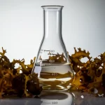 Fotografia concettuale still life: alghe brune Sargassum e scarti di gamberi disposti artisticamente attorno a una beuta contenente bioetanolo trasparente, lente macro 70mm, illuminazione da studio controllata, alta definizione, focus preciso sul bioetanolo.