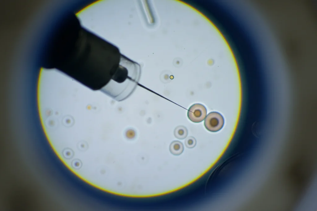 Primo piano macro di un embriologo che esegue una ICSI, iniettando uno spermatozoo in un ovocita con un micromanipolatore, illuminazione controllata da laboratorio, obiettivo macro 100mm, alta definizione.