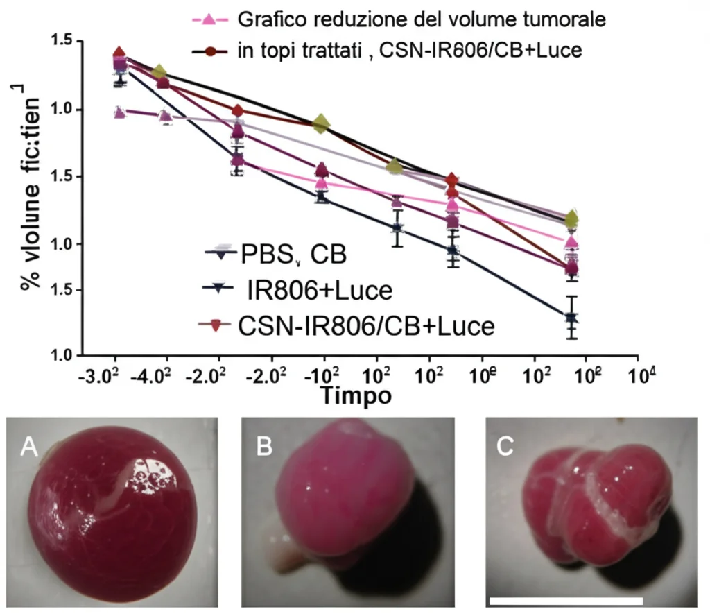 Grafico che mostra la riduzione del volume tumorale nel tempo in topi trattati con diverse formulazioni (PBS, CB libero, IR806+Luce, CSN-IR806/CB, CSN-IR806/CB+Luce). La linea del trattamento combinato mostra la maggiore efficacia. Accanto, foto comparative dei tumori rimossi alla fine dell'esperimento. Lente prime, 35mm, profondità di campo per mettere a fuoco sia il grafico che le foto.