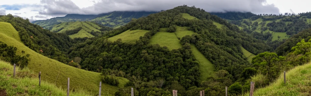Foto paesaggistica grandangolare, obiettivo 15mm, che mostra un paesaggio frammentato della foresta nebulosa andina nella Cordigliera Orientale della Colombia. Si vedono macchie di foresta intervallate da pascoli e segni di attività umana. Messa a fuoco nitida, luce drammatica che trasmette bellezza e vulnerabilità.
