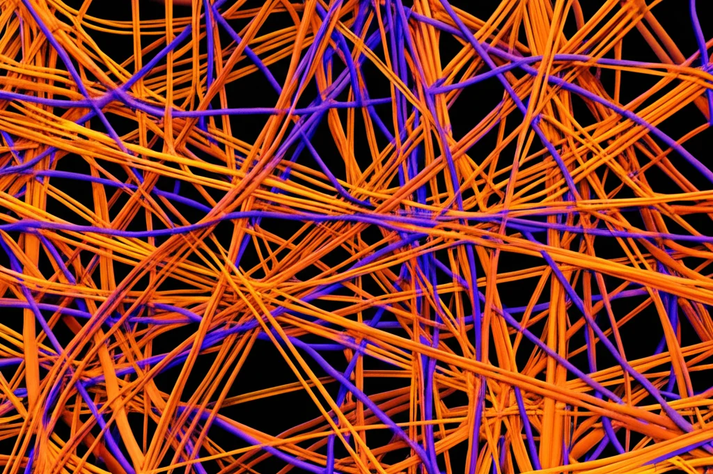 Visualizzazione 3D ultra-realistica di filamenti del citoscheletro (microtubuli, actina, filamenti intermedi) all'interno di una cellula eucariotica, obiettivo macro 100mm, illuminazione scientifica controllata, alta definizione dei dettagli proteici, messa a fuoco precisa sulla rete filamentosa.