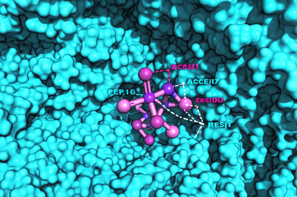 Close-up fotorealistico del peptide Pep16 (struttura a sfere e bastoncini rosa) inserito nella tasca di legame dell'enzima ACSS2 (superficie ciano). Evidenziate le interazioni chiave (linee tratteggiate) con residui specifici. Macro lens, 100mm, high detail, controlled lighting.