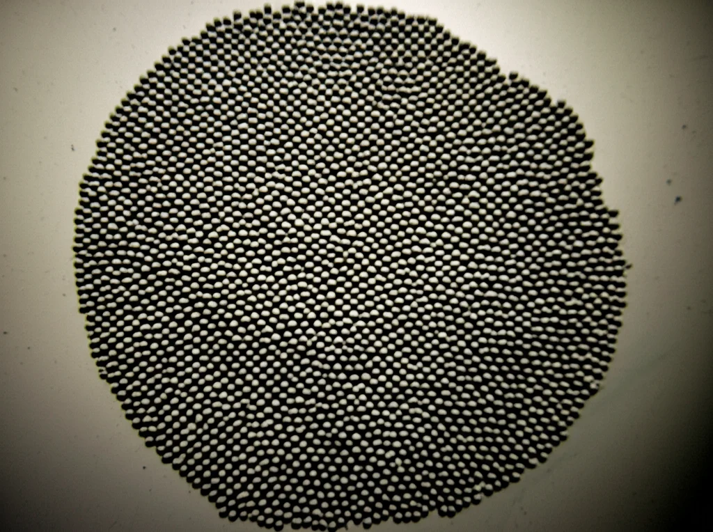 Concetto astratto di punti che collassano in gruppi sovrapposti (gap zero). Fotografia macro 60mm, alta definizione, illuminazione drammatica per enfatizzare la densità locale e la perdita di spaziatura.