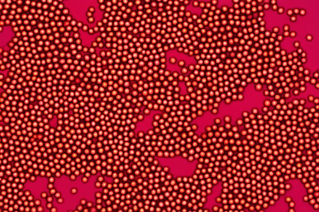 Immagine macro ad alta definizione di nanoparticelle di selenio sferiche, biosintetizzate, disperse in una soluzione colloidale rossastra. Obiettivo macro 100mm, illuminazione controllata per evidenziare la struttura e la dispersione delle nanoparticelle. Focus preciso sulle particelle.