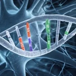 Immagine concettuale della ricerca genetica sulla Sindrome dell'X Fragile, obiettivo macro 70mm, alta definizione, illuminazione drammatica che evidenzia una sequenza genetica FMR1 con ripetizioni CGG visibili, sfondo astratto neurale.