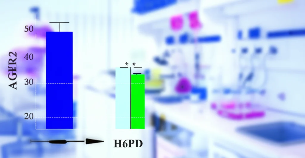Grafico scientifico fotorealistico che mostra l'aumento dell'attività enzimatica di H6PD (barre blu più alte) in presenza di AGR2 (barre verdi) rispetto a H6PD da sola. Sfondo sfocato di un laboratorio di biochimica. Illuminazione da studio controllata, focus preciso sui dati.