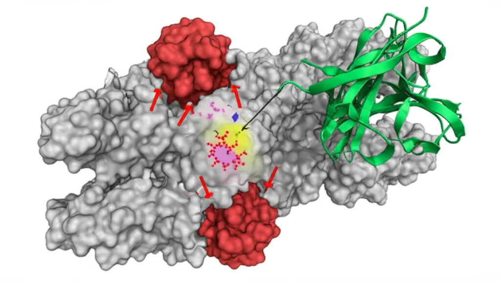 Still life concettuale, macro lens 100mm, controlled lighting, high detail, raffigurante una molecola di GZMA stilizzata al centro, con frecce rosse che indicano il suo blocco da parte di un farmaco immaginario (una piccola molecola luminosa), simboleggiando il potenziale terapeutico di GZMA come bersaglio.