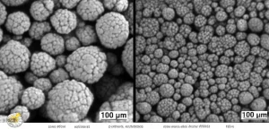 Immagine al microscopio elettronico della microstruttura ottimizzata di ghisa sferoidale perlitica dopo trattamento termico di sferoidizzazione. Obiettivo macro 100mm, alto dettaglio, illuminazione controllata che evidenzia la trasformazione della cementite lamellare in sferoidale e i noduli di grafite ingranditi circondati da zone ferritiche.