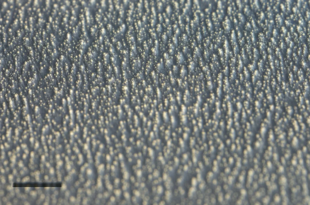 Macro fotografia ad alta definizione di un campione di idrogel KCWO-PNIPAM trasparente a bassa temperatura, depositato su un substrato di vetro. Si intravedono le nanoparticelle disperse. Illuminazione da laboratorio controllata, obiettivo macro 100mm, messa a fuoco precisa sulla struttura interna del gel.