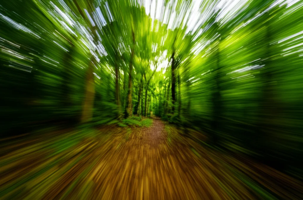 Fotografia grandangolare di un sentiero luminoso che si snoda attraverso una foresta fitta e complessa, dirigendosi verso un orizzonte aperto. Lunga esposizione per rendere il movimento delle foglie sfocato, focus nitido sul sentiero, a simboleggiare il percorso a lungo termine e le analisi complesse del progetto Fast Track. Obiettivo grandangolare 18mm.