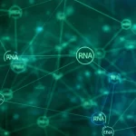 Visualizzazione astratta e fotorealistica di una rete complessa di dati bioinformatici luminosi che collegano molecole di farmaci stilizzate a geni, RNA e percorsi cellulari, concetto di database HCDT 2.0, colori blu e verde duotone, profondità di campo.
