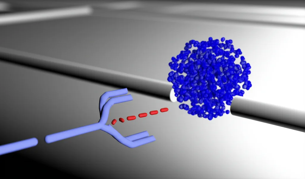 Visualizzazione 3D fotorealistica che mostra il confronto tra una proteina sferica (es. Streptavidina) che produce un segnale elettrico rettangolare mentre passa nel nanoporo, e una proteina non sferica (es. IgG a forma di Y) che ruota e produce un segnale complesso con sotto-picchi. Illuminazione che evidenzia la forma del segnale elettrico correlato alla proteina. Obiettivo macro 85mm, profondità di campo ridotta.
