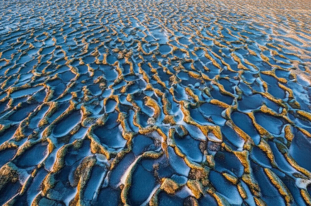 Veduta aerea con drone di un paesaggio artico con pattern poligonali formati dal permafrost parzialmente scongelato, con vegetazione rada che cresce nelle depressioni. Luce del sole bassa che crea lunghe ombre, evidenziando la texture del terreno. Obiettivo 24mm, alta risoluzione.