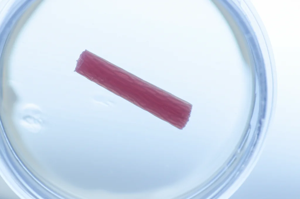 Foto macro fotorealistica di un campione di tessuto ottenuto da una biopsia core needle. Il campione è piccolo, cilindrico, e riposa in un piccolo contenitore trasparente con formalina. L'immagine è scattata con un obiettivo macro da 100mm, con altissimo dettaglio che mostra la texture del tessuto. Illuminazione controllata da studio per evidenziare i dettagli.