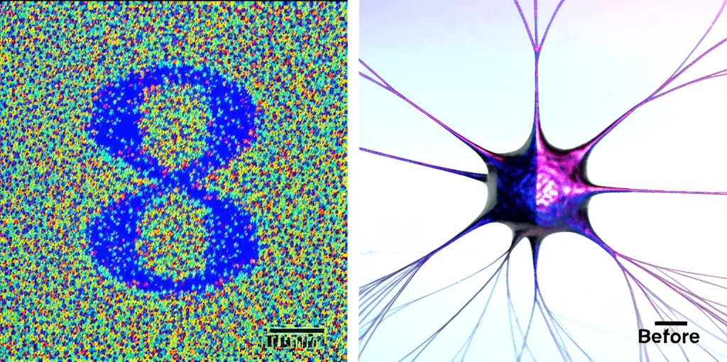 Fotografia realistica di un pattern di numeri digitali (es. '8') visualizzato su uno schermo, prima con molto rumore digitale (pixel sparsi casualmente) e poi dopo essere stato processato da un array simulato del dispositivo nanofilo/grafene, apparendo molto più nitido e con contrasto migliorato. Accanto, una visualizzazione di una rete neurale artificiale che analizza il numero pulito. Lente 50mm, illuminazione ambientale da ufficio high-tech, messa a fuoco sull'immagine processata.