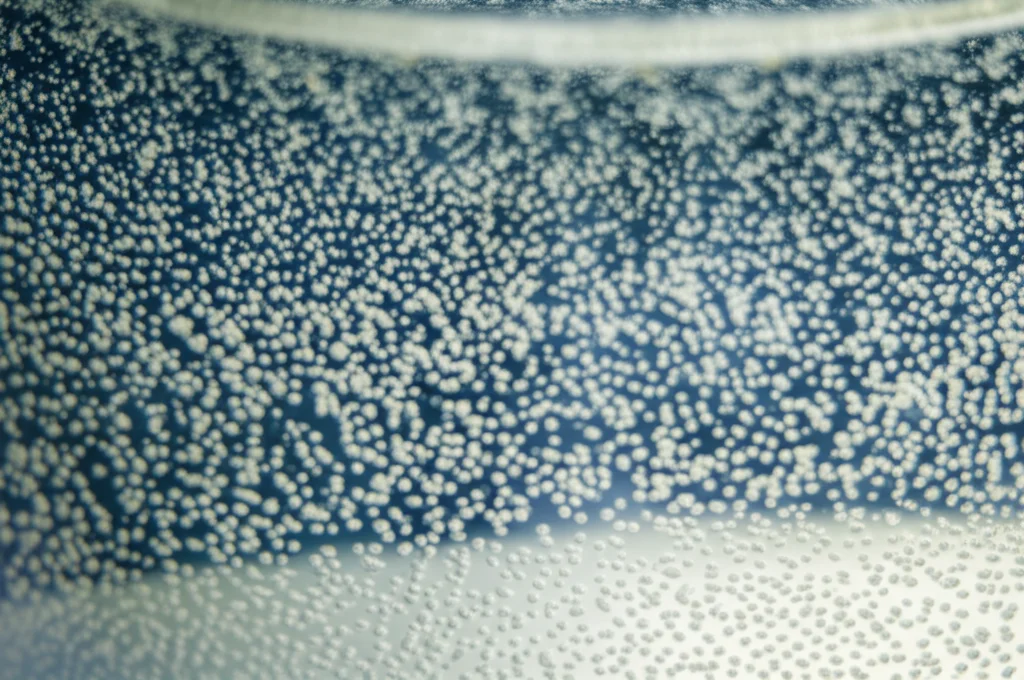 Vista macro, obiettivo 60mm, di flocculi che si formano nell'acqua durante un processo di elettrocoagulazione in un becher da laboratorio, illuminazione controllata per evidenziare i dettagli delle particelle aggregate.