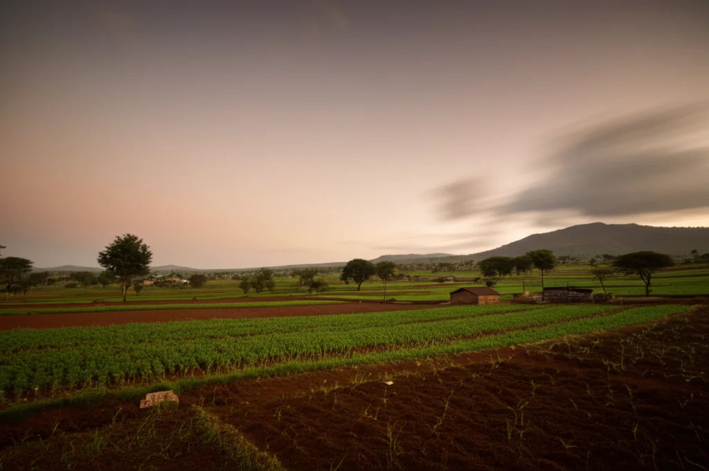 Scatto grandangolare di un paesaggio rurale nel Corno d'Africa al tramonto, con campi coltivati in primo piano, suggerendo il legame tra agricoltura e sicurezza alimentare. Obiettivo grandangolare 15mm, lunga esposizione per cielo morbido, colori caldi.
