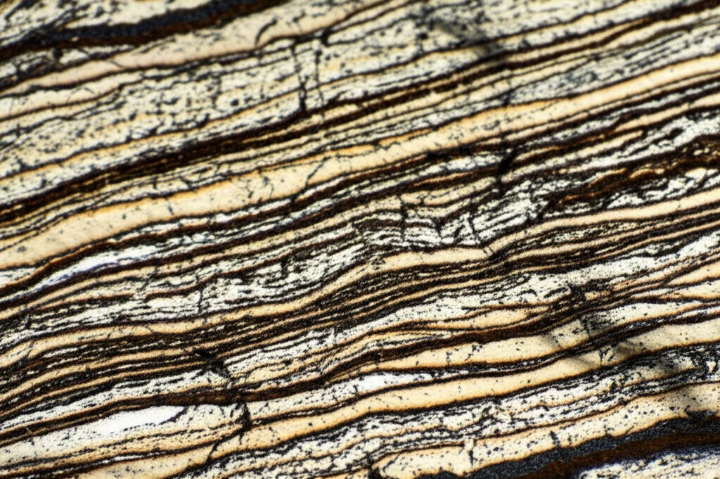 Macro fotografia di una sezione trasversale di roccia stratificata, obiettivo macro 90mm, illuminazione controllata per evidenziare le diverse direzioni degli strati e la loro tessitura anisotropa, alta definizione.