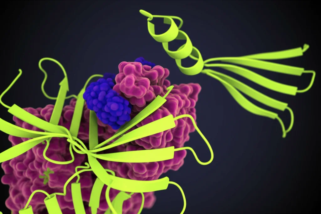Visualizzazione molecolare 3D dei sei biomarcatori identificati (ALDOB, CCT5, EP300, PFKP, PPIA, SIRT1) che interagiscono con diverse cellule immunitarie (macrofagi, cellule T). Macro lens, 80mm, high detail, sfondo scuro controllato, interazione molecolare tra biomarcatori e sistema immunitario.