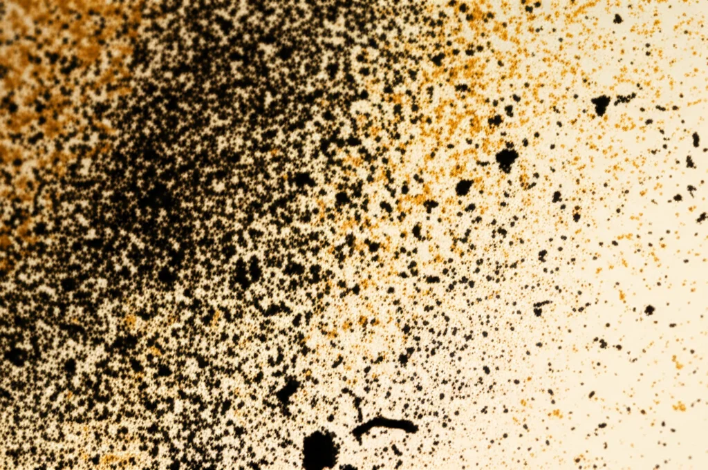 Macro fotografia, 90mm, di particelle di polvere desertica fine (color ocra) e particelle di fuliggine nera (simulando aerosol da biomassa) mescolate su una superficie chiara, illuminazione laterale controllata per evidenziare le diverse texture e dimensioni, alta definizione, messa a fuoco precisa sui dettagli.