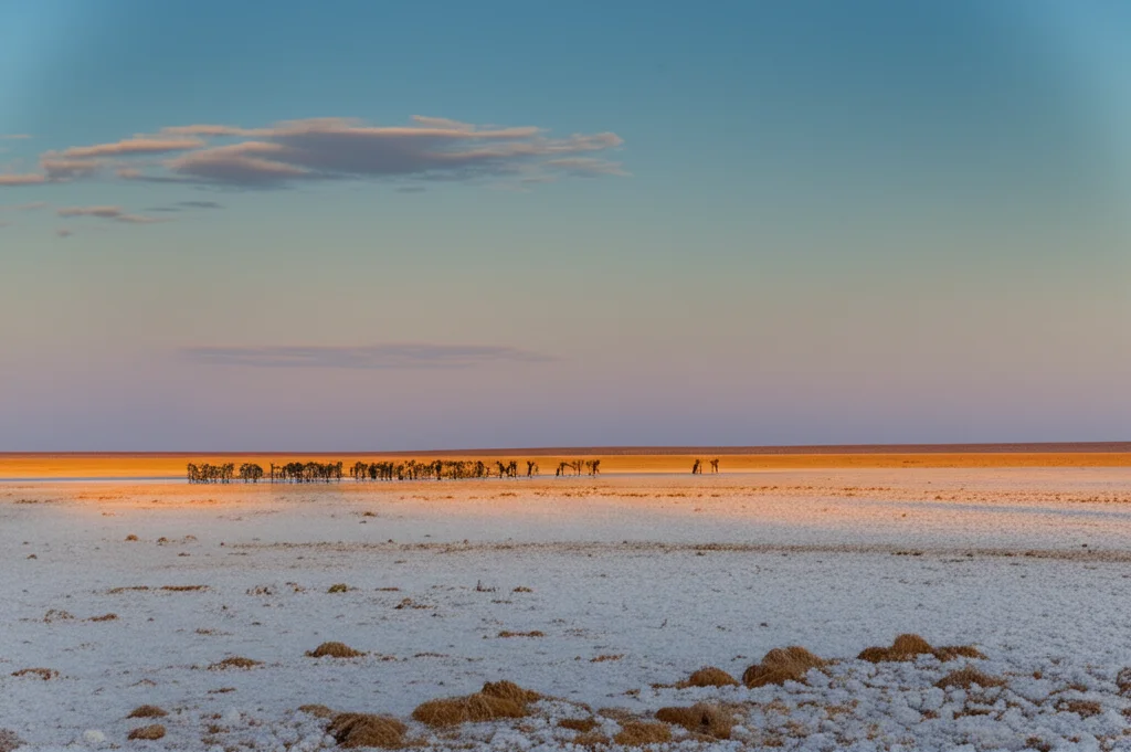 Fotografia paesaggistica grandangolare, 15mm, della vasta piana salina del Parco Nazionale Etosha in Namibia all'alba, con luce dorata, messa a fuoco nitida, cielo terso con qualche nuvola sottile, una mandria di zebre in lontananza vicino a una pozza d'acqua, long exposure per acqua liscia.