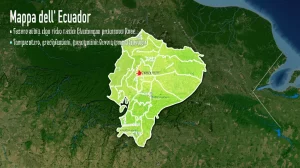 Mappa dell'Ecuador che evidenzia le aree ad alto rischio per la Bluetongue basate su fattori climatici (temperatura, precipitazioni) e popolazione bovina, sovrapposta a un paesaggio ecuadoriano diversificato che include montagne andine e pianure costiere/amazzoniche, stile infografica fotorealistica, alta definizione.