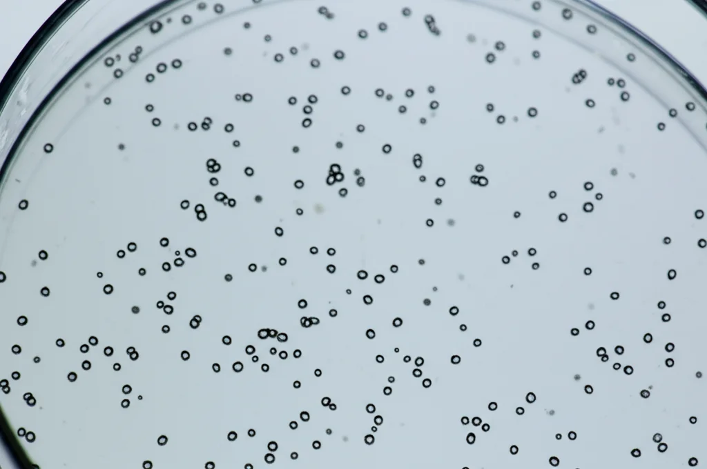 Fotografia a oggetti morti, lenti macro 100 mm, dettagli elevati, messa a fuoco precisa, che mostra una chiara sostanza idrogel in una piastra di Petri, con piccole particelle sospese (che rappresentano nanozimi e microcapsule) visibili all'interno della sua struttura sotto l'illuminazione di laboratorio controllata.