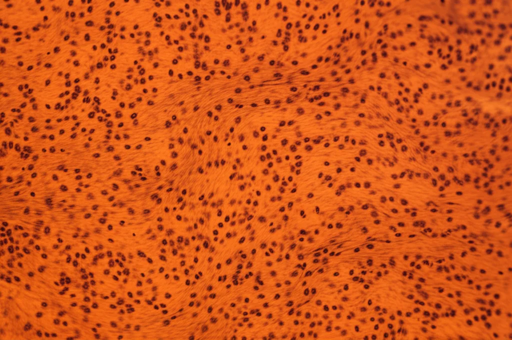 Macro fotografia di cellule adipose umane, vista al microscopio, illuminazione controllata per evidenziare i dettagli, obiettivo macro 100mm, alta definizione.