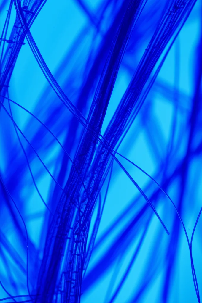 Macro fotografia di fibre di PET modificate chimicamente immerse in una soluzione acquosa di blu di metilene. Lente macro 100mm, alta definizione, illuminazione controllata in laboratorio, si nota il colore blu intenso dell'acqua e le fibre che iniziano ad adsorbirlo. Profondità di campo ridotta per mettere a fuoco le fibre.