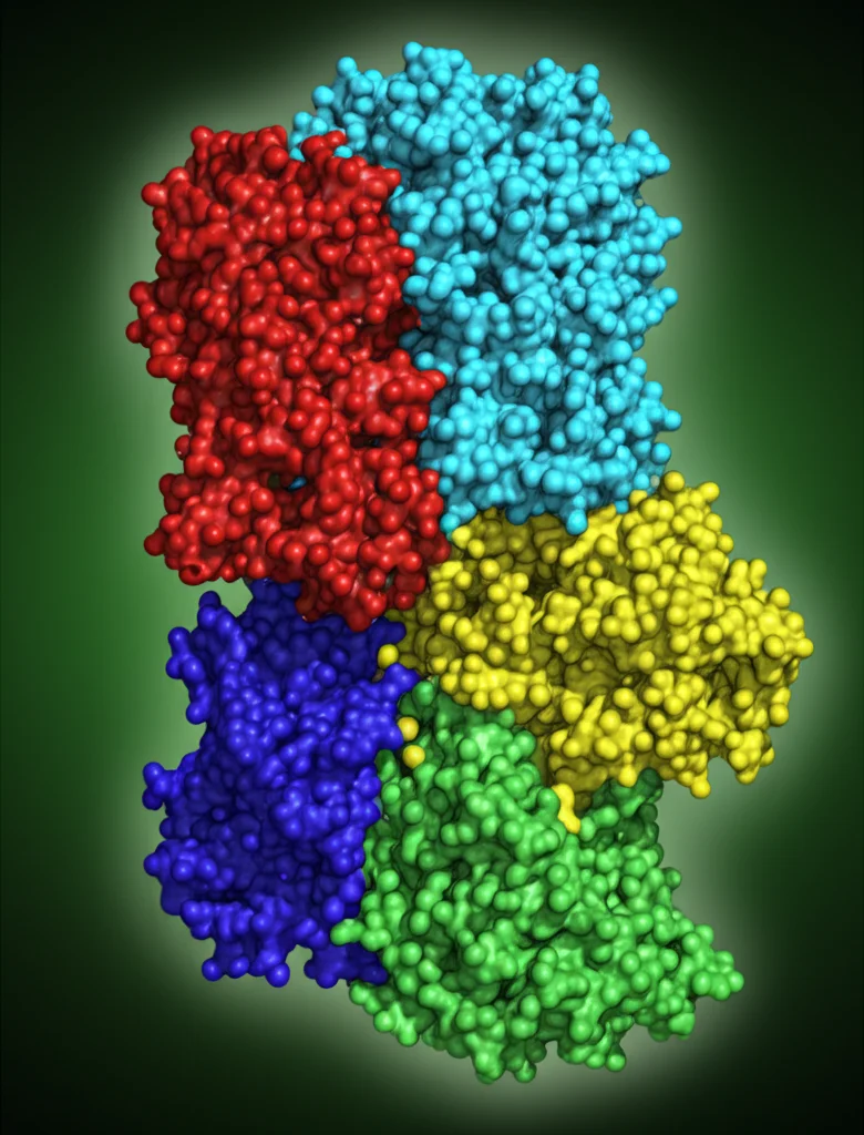 Visualizzazione 3D della proteina AftB con il suo dominio transmembrana e il cappuccio periplasmatico, evidenziando la cavità interna a forma di tubo con colori contrastanti, stile scientifico realistico, illuminazione drammatica.