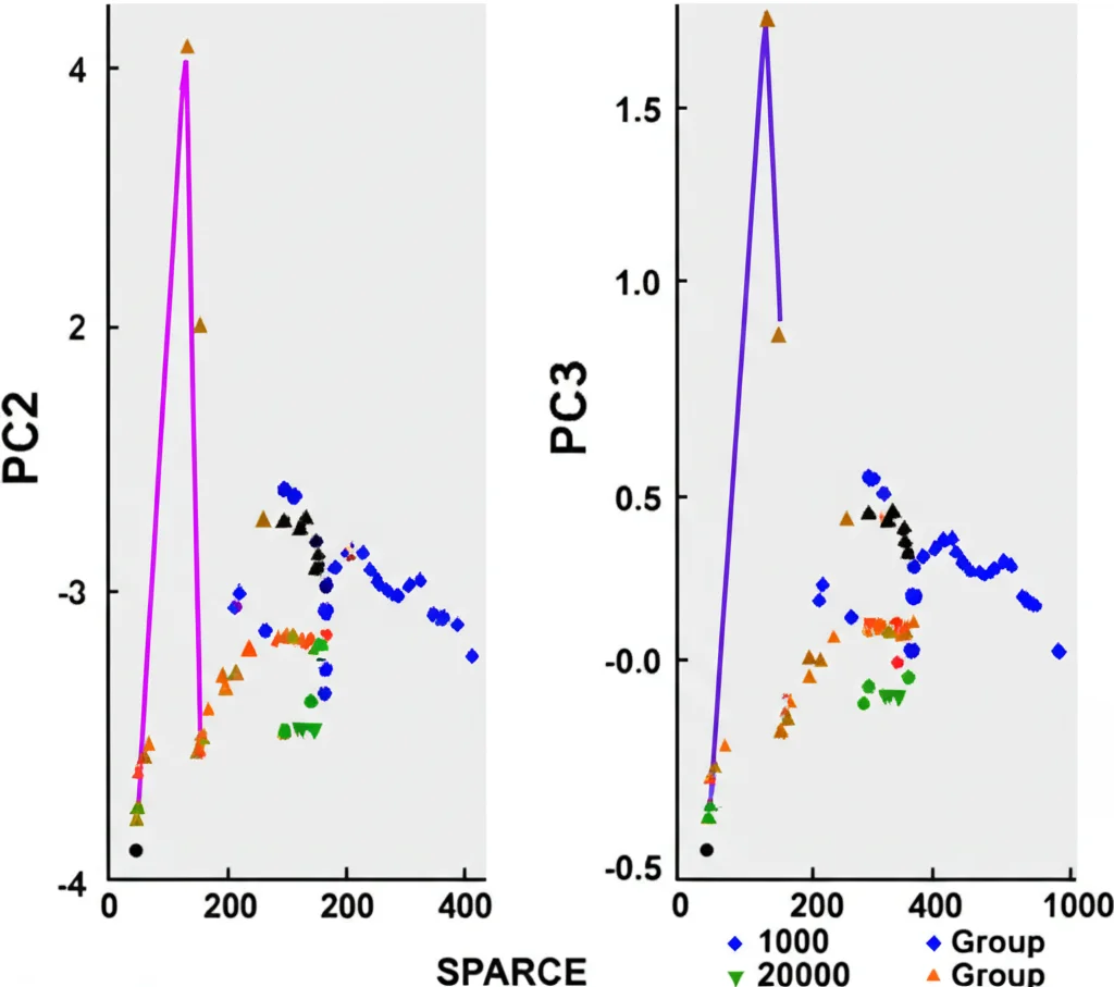 Grafico PCA che mostra il clustering distinto di quattro diverse linee cellulari di glioblastoma analizzate con SPARCE, sia a basso (1000 cellule) che ad alto (20000 cellule) input, evidenziando la riproducibilità del metodo. Grafico scientifico, colori distinti per gruppo, assi etichettati PC2 e PC3.