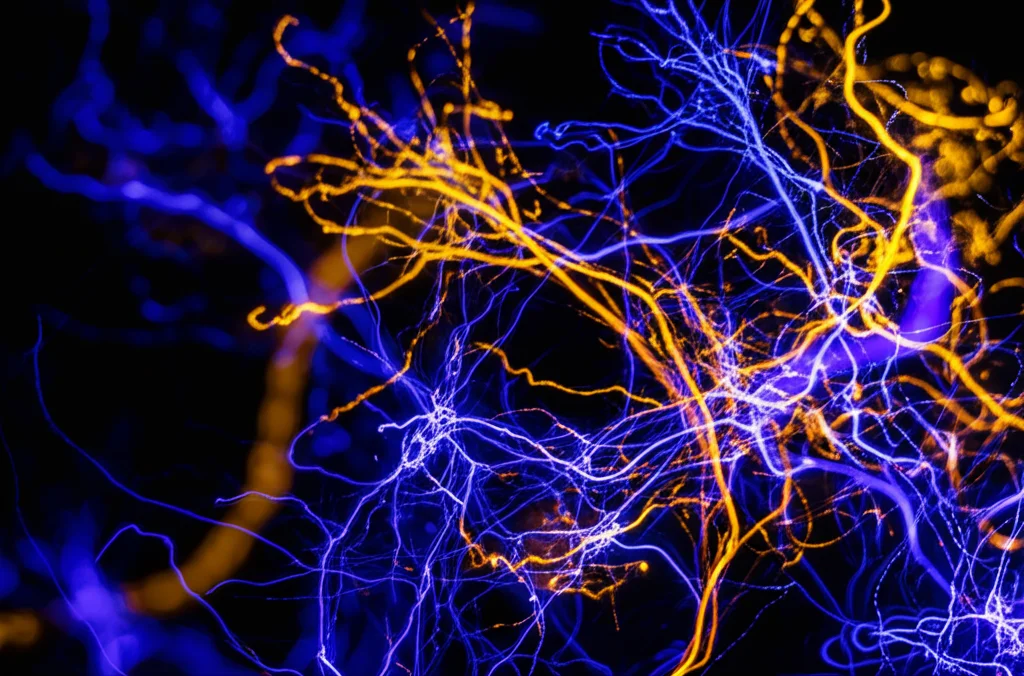 Visualizzazione astratta fotorealistica di pattern luminosi colorati (blu, oro, viola) che si intrecciano e fluttuano nello spazio scuro, simili a reti neurali o flussi di energia, rappresentando l'integrazione complessa di cognizione, emozione, input sensoriali e norme sociali nella teoria 'patterned' del discorso interiore. Esposizione lunga, effetto bokeh, alta risoluzione.