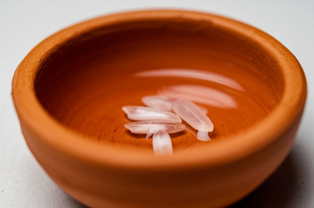 Fotografia macro di una piccola ciotola di terracotta contenente solo pochi chicchi di riso e una goccia di liquido lattiginoso, simbolo della scarsa diversità alimentare. Obiettivo macro 100mm, high detail, precise focusing, controlled lighting laterale per creare ombre drammatiche.