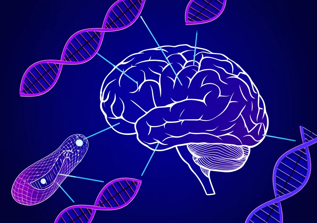 Immagine concettuale che mostra filamenti di DNA stilizzati che collegano rappresentazioni astratte di diversi tessuti perinatali (sangue neonatale, cordone, placenta) e una silhouette cerebrale, simboleggiando la rilevanza biologica dei risultati e la connessione tra tessuti, colori duotone blu e viola.
