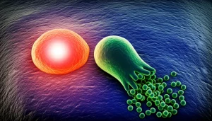 Immagine concettuale fotorealistica, obiettivo prime 35mm, profondità di campo, che illustra l'interazione tra una cellula tumorale Sox9+ (stilizzata, luminosa in rosso) e un neutrofilo Fpr1+ (stilizzato, in verde, mostrato in apoptosi/frammentazione) nel microambiente del cancro testa-collo, simboleggiando la resistenza all'immunoterapia anti-LAG-3/PD-1, toni blu scuro e arancio duotone per un effetto drammatico.