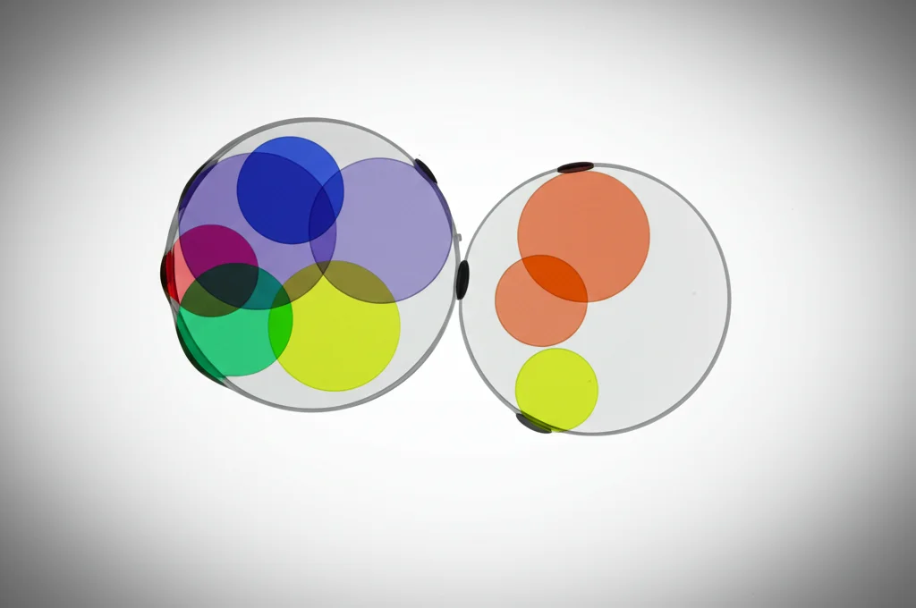 Visualizzazione astratta di due campioni di dati (cerchi semitrasparenti colorati) estratti da una popolazione più ampia (sfondo grigio sfumato). I cerchi si sovrappongono solo parzialmente, indicando che gli individui non sono necessariamente gli stessi nei due campioni. Obiettivo macro 70mm, alta definizione, illuminazione da studio controllata per enfatizzare la separazione e la sovrapposizione parziale.