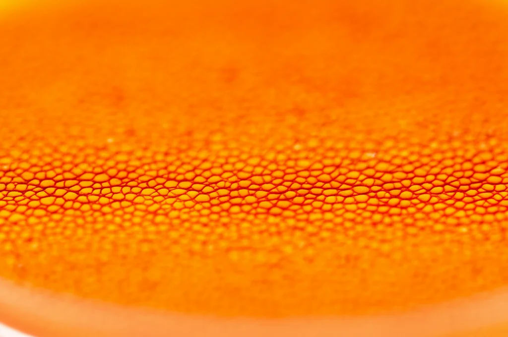 Fotografia macro di una membrana L-PRF giallastra e gelatinosa appena preparata in una piastra di Petri, alta definizione, messa a fuoco precisa, lente macro 100mm.