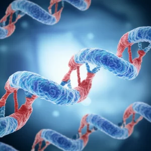 Illustrazione scientifica ad alto dettaglio di una molecola di Ministring DNA (msDNA) lineare e chiusa covalentemente, che fluttua accanto a cellule umane stilizzate, simboleggiando la terapia genica. Lente macro 100mm, illuminazione da laboratorio controllata, focus preciso sulla struttura del DNA.