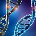 Immagine concettuale artistica che rappresenta due filamenti di DNA intrecciati, uno simboleggiante il timoma e l'altro il linfoma, con punti luminosi a indicare mutazioni germinali condivise. Sfondo medico-scientifico astratto, colori blu e viola duotone, profondità di campo per focalizzare sulle mutazioni.