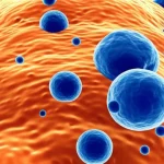 Immagine concettuale artistica di cellule immunitarie (linfociti T, macrofagi) che interagiscono dinamicamente all'interno della complessa architettura del tessuto mammario, con evidenziazione dei segnali chimici (citochine e chemochine) scambiati tra loro. Obiettivo prime, 35mm, profondità di campo accentuata, duotone blu e arancione per un effetto visivo impattante e scientifico.