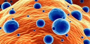 Immagine concettuale artistica di cellule immunitarie (linfociti T, macrofagi) che interagiscono dinamicamente all'interno della complessa architettura del tessuto mammario, con evidenziazione dei segnali chimici (citochine e chemochine) scambiati tra loro. Obiettivo prime, 35mm, profondità di campo accentuata, duotone blu e arancione per un effetto visivo impattante e scientifico.