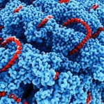 Immagine fotorealistica al microscopio elettronico di nanoparticelle lipidiche (LNPs) sferiche che incapsulano filamenti di mRNA, con un dettaglio estremo sulla struttura delle LNPs e sull'mRNA all'interno. Illuminazione controllata per evidenziare le texture e i dettagli molecolari. Obiettivo macro 100mm, alta definizione, sfondo scuro per far risaltare le nanoparticelle.