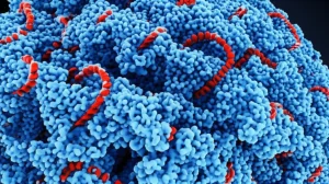 Immagine fotorealistica al microscopio elettronico di nanoparticelle lipidiche (LNPs) sferiche che incapsulano filamenti di mRNA, con un dettaglio estremo sulla struttura delle LNPs e sull'mRNA all'interno. Illuminazione controllata per evidenziare le texture e i dettagli molecolari. Obiettivo macro 100mm, alta definizione, sfondo scuro per far risaltare le nanoparticelle.