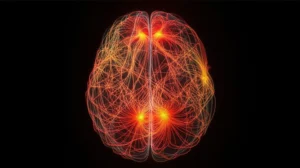 Immagine fotorealistica del cervello umano visto dall'alto, con intricate reti neurali (connettoma) illuminate che si propagano da specifiche aree calde (epicentri) evidenziate in rosso brillante e arancione. Utilizzare un obiettivo grandangolare 24mm per una vista ampia che catturi l'intera rete, lunga esposizione per creare scie luminose che mostrano il movimento della 'diffusione' dell'attività, messa a fuoco nitida sulle connessioni principali, sfondo scuro per contrasto.