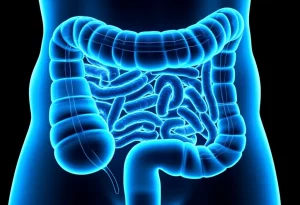 Immagine fotorealistica, obiettivo primario, 35mm, raffigurante una rappresentazione stilizzata di un colon umano sano con batteri benefici luminosi, contrapposto a una sezione infiammata, illustrando l'impatto dei probiotici e del butirrato, profondità di campo, bicromia blu e arancione.