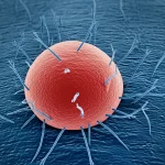Macro lens, 100mm, high detail, controlled lighting, close-up of a single human bronchial cell with tiny plastic particles attached to its surface.
