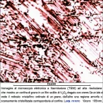 Immagine al microscopio elettronico a trasmissione (TEM) ad alta risoluzione che mostra un confine di grano in un film sottile di V2O3 drogato con cromo. Da un lato si vede il reticolo cristallino ordinato di un grano, dall'altro una regione amorfa o scarsamente cristallizzata corrispondente al confine. Lente macro 105mm, illuminazione controllata, alta definizione, focus preciso sulla transizione tra cristallino e amorfo.