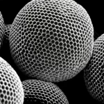 Macro lens, 105mm, High detail, Precise focusing, Controlled lighting, showing spherical nanoparticles of the Fe3O4-SiO2-SD@Pd catalyst on a dark background.
